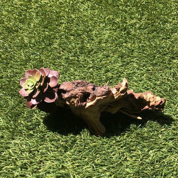 Driftwood art for your desk or table by local Austin artisan - Picture 10 of 10